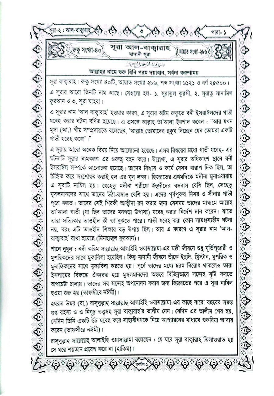 Sample Page 6